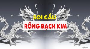 Rồng bạch kim chốt số ngày 27/11/2023