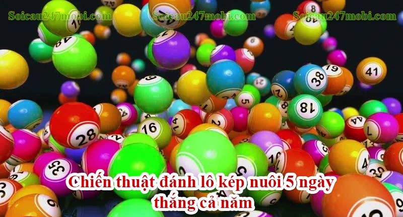 Chiến thuật đánh lô kép nuôi 5 ngày thắng cả năm