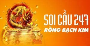 Soi cầu xổ số MB ngày 11/08/2024