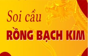 Soi cầu 247 rồng bạch kim ngày 29/12/2024